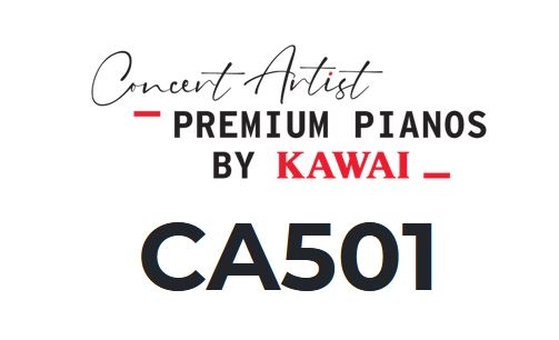 Kawai CA501